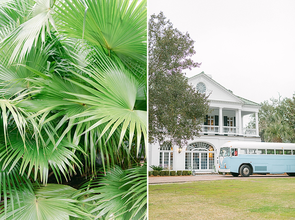 palm fronds and a pastel bus in front of Lowndes Grove Plantation