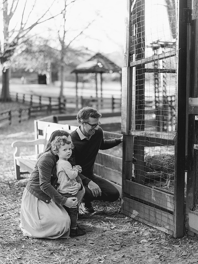 Family session petting chickens