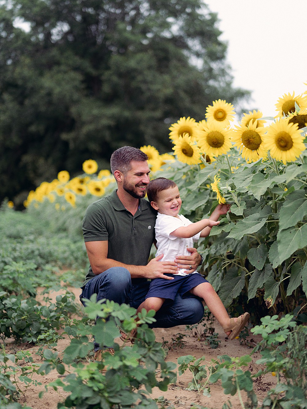 Father and son playing with a big sunflower