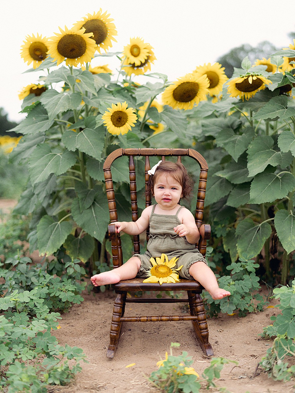 One year old baby girl on a wooden chair among sunflowers