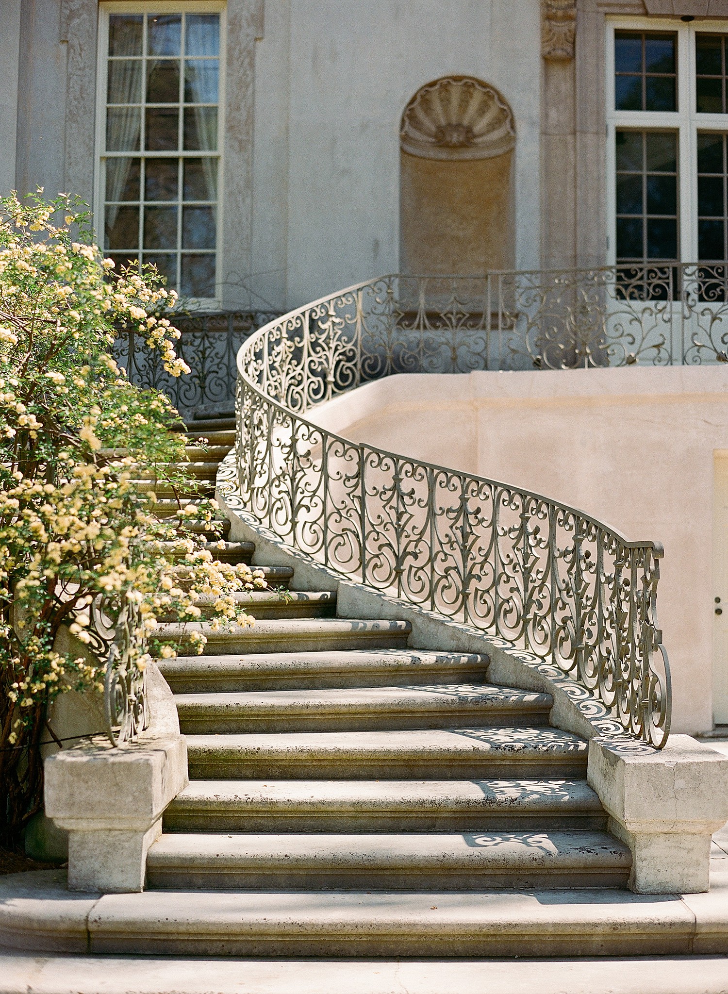 The winding staircase at the back of the Swan House with a thriving bush of yellow blooms on the left side of the railing