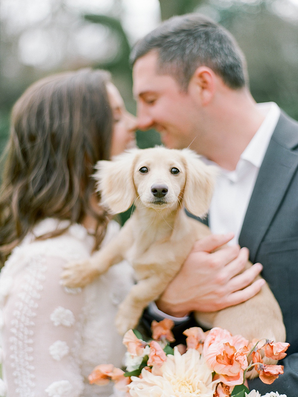 miniature blonde long-haired dachshund held by a couple during their portrait session at Meadowlark 1939