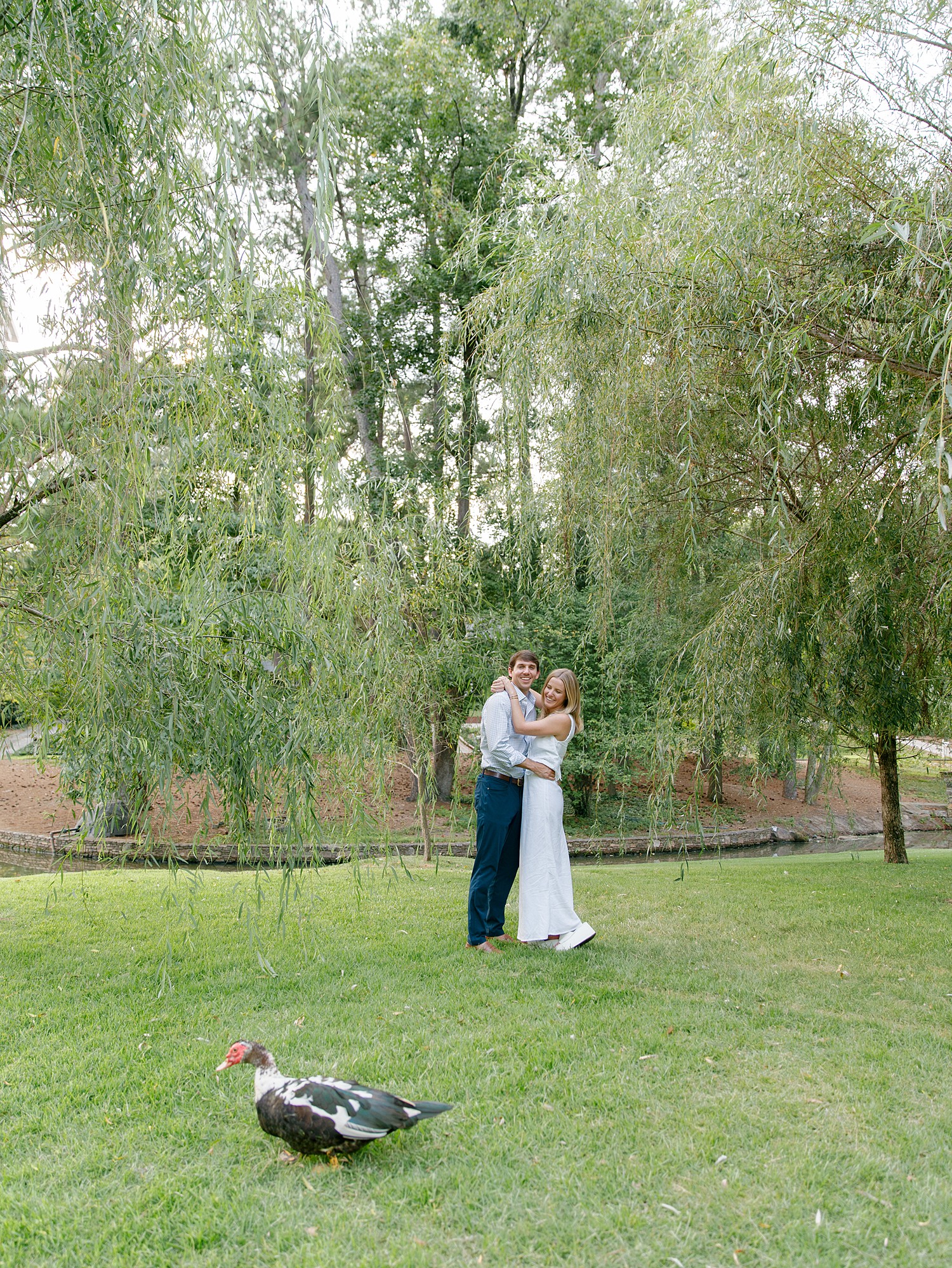 Duck Pond engagement portrait where a couple poses for a smile underneath the willow tree and a duck walks past them in the foreground of the image